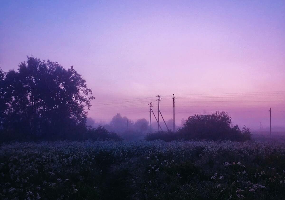 大发官方：让信任成为平台的底色